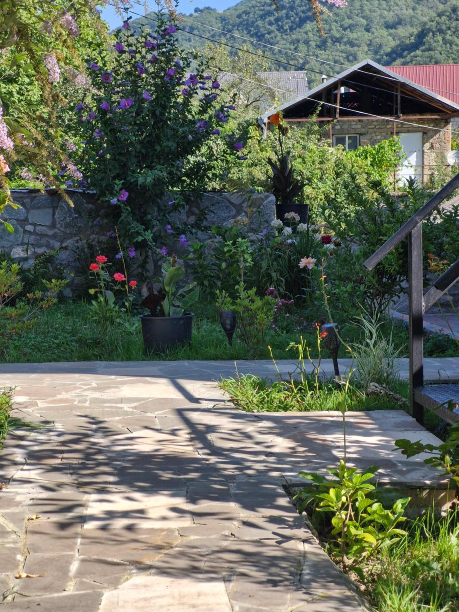 Ananuri Veranda- Hotel Guest House エクステリア 写真